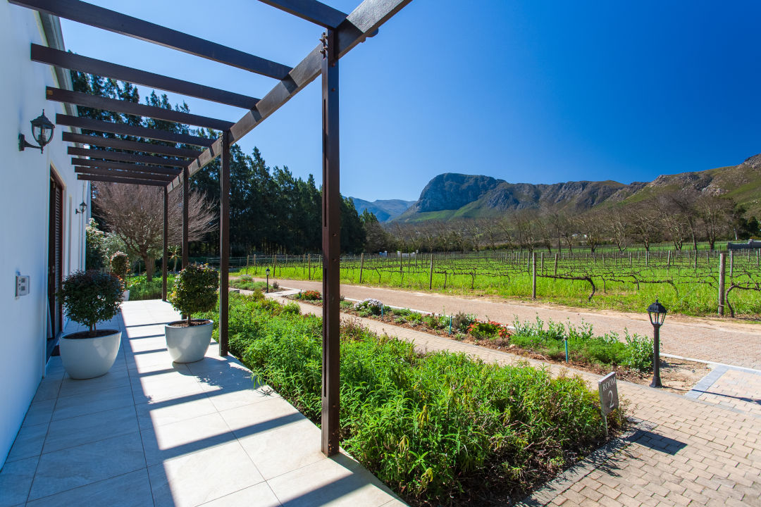 Fynbos 5